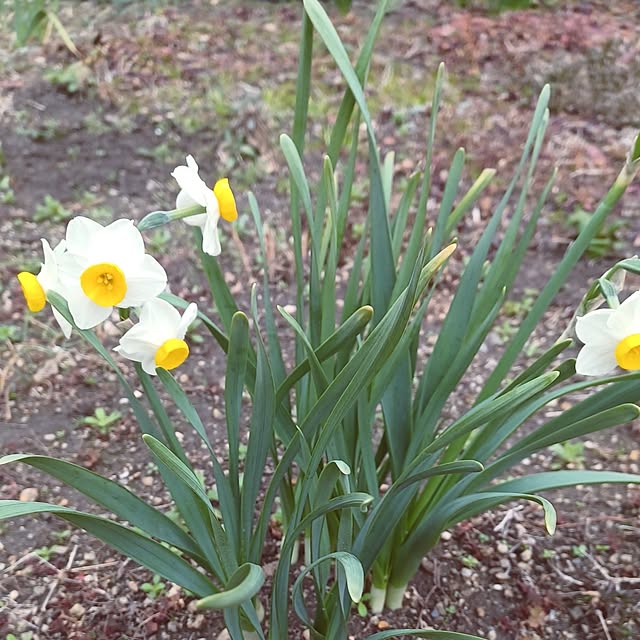 hiro.904さんの部屋