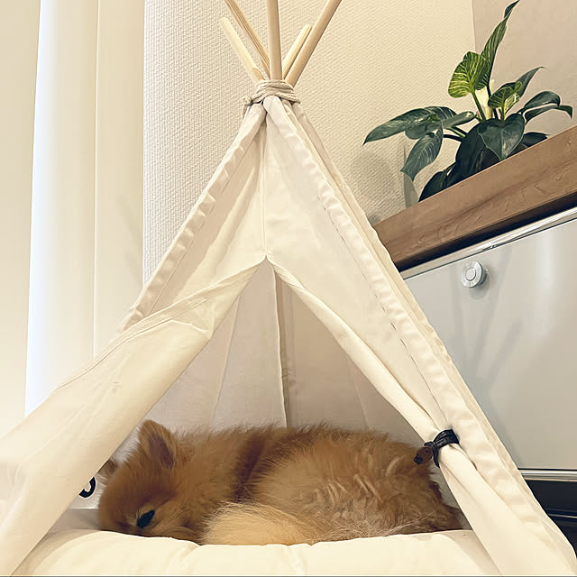 asukanaさんの実例写真