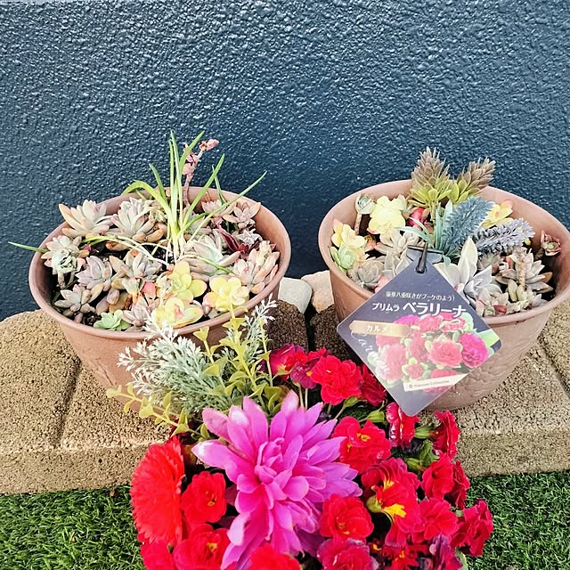 hikarin3さんの実例写真