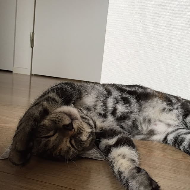 haruさんの実例写真