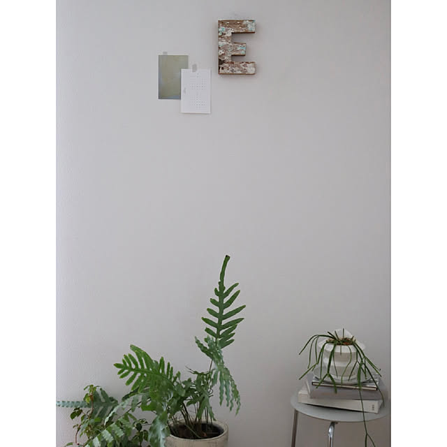 hanatomidorinoheyaさんの部屋