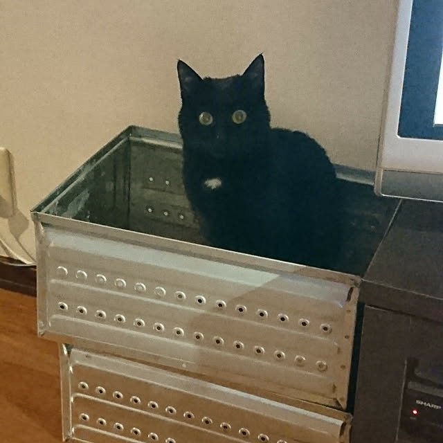 Kさんの実例写真