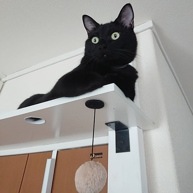 maikyさんの実例写真