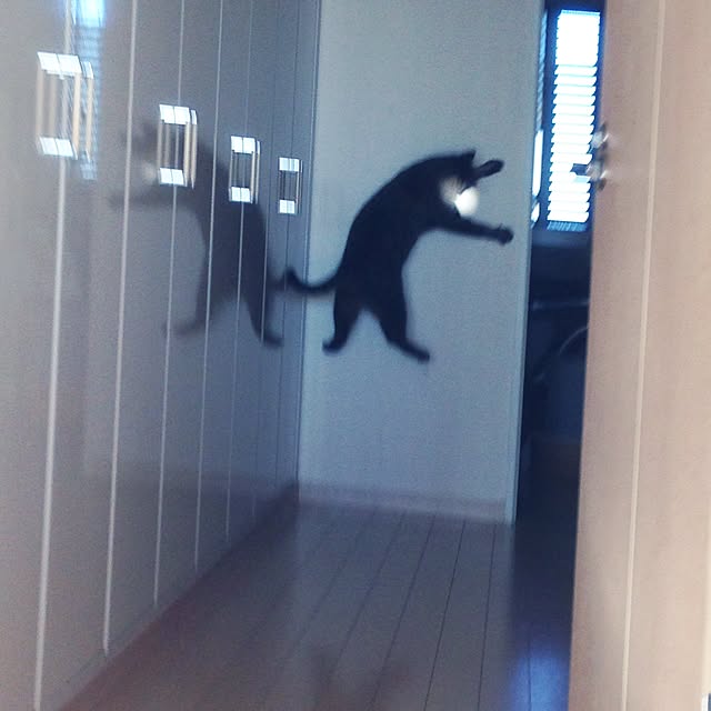 6さんの実例写真