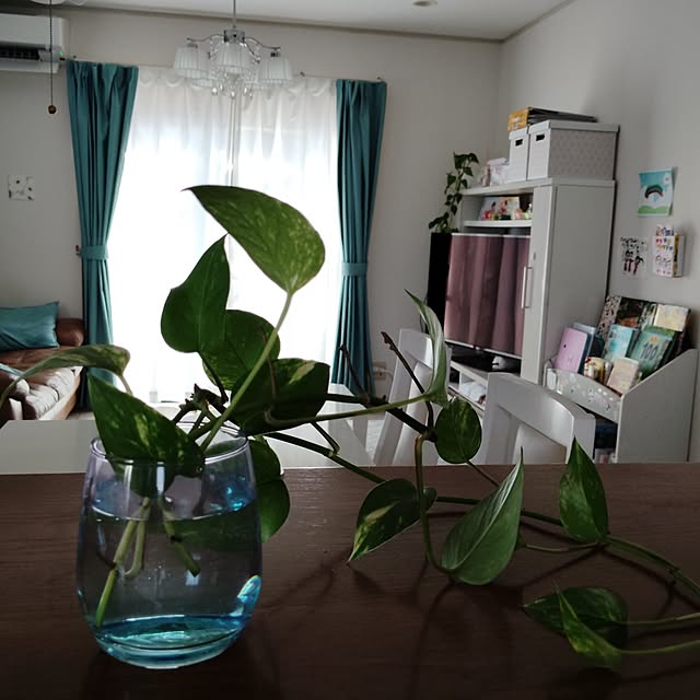 misakiさんの実例写真