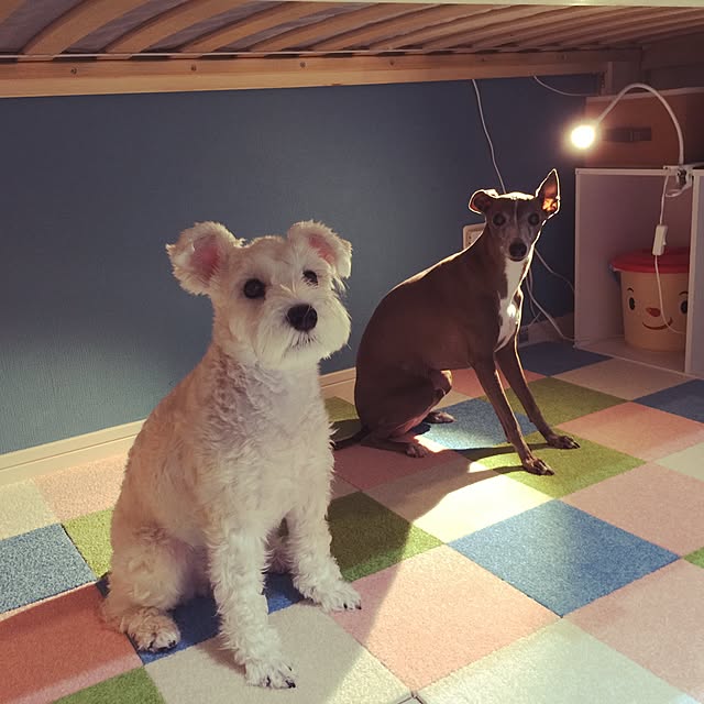 suzyさんの実例写真