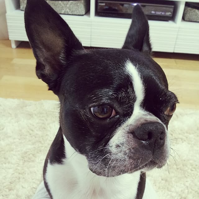 RAM12さんの実例写真