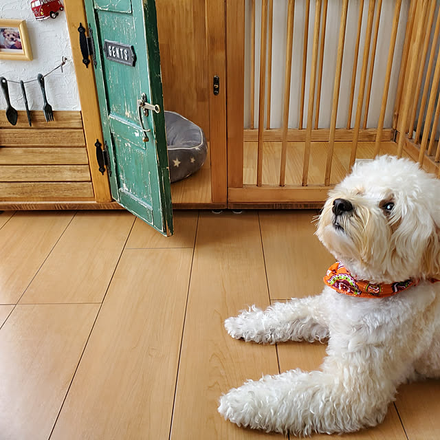 poyocoさんの実例写真