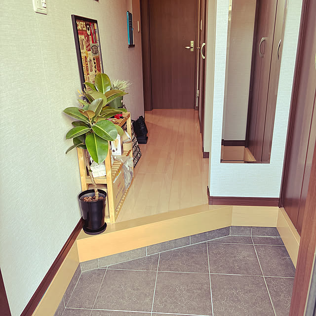 remoza0310さんの実例写真