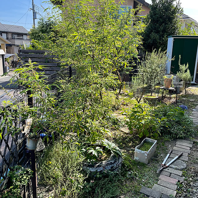 kikiさんの部屋