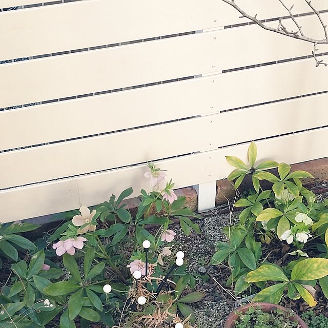 Bienvenueさんの部屋