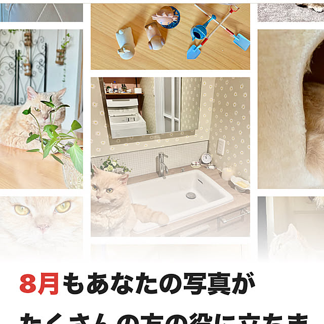 naokoさんの部屋