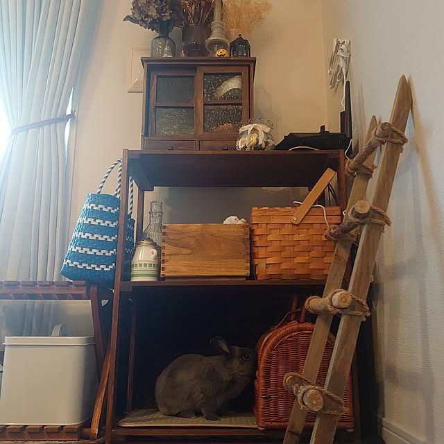 kirariさんの部屋