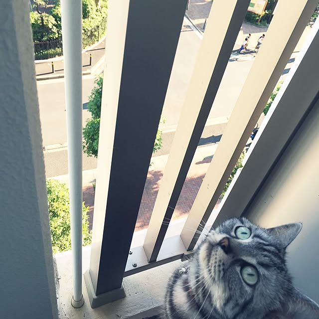 hiyupan88さんの実例写真