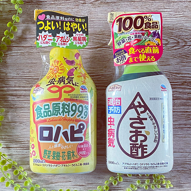 mintteaさんの実例写真