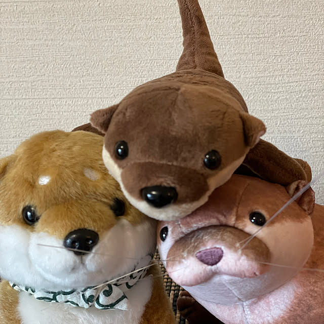 aureaさんの実例写真