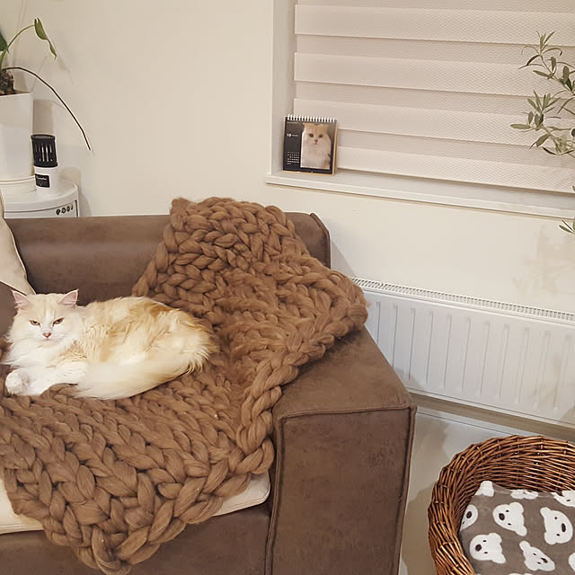 megu.catさんの実例写真