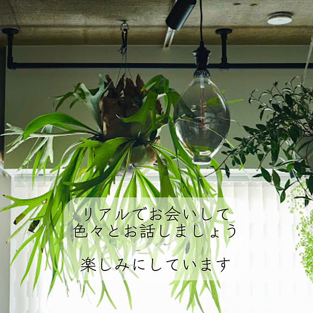 hidemaroomさんの部屋