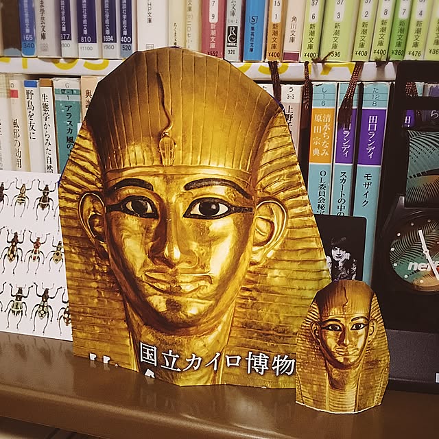 Tam_Shibaさんの実例写真