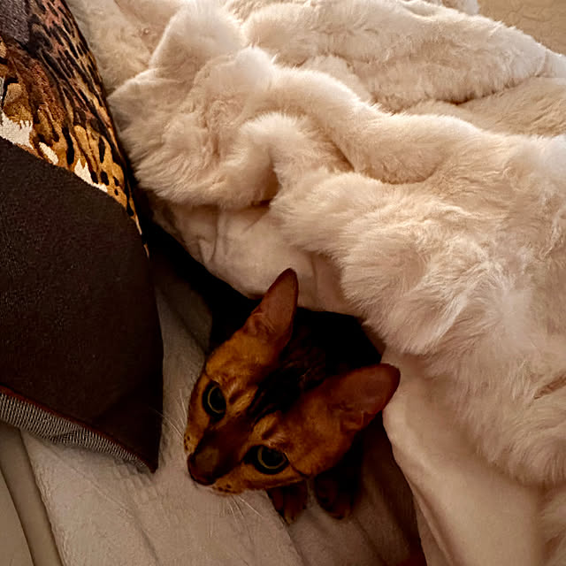 nene6さんの部屋