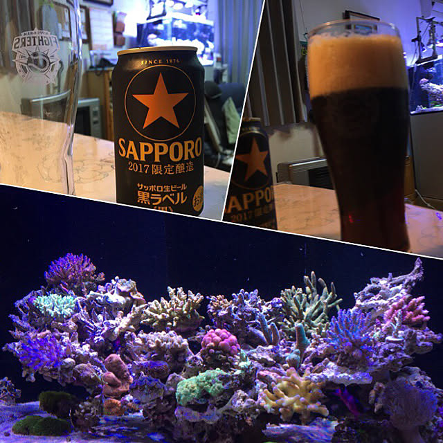 aquarium_seaさんの実例写真