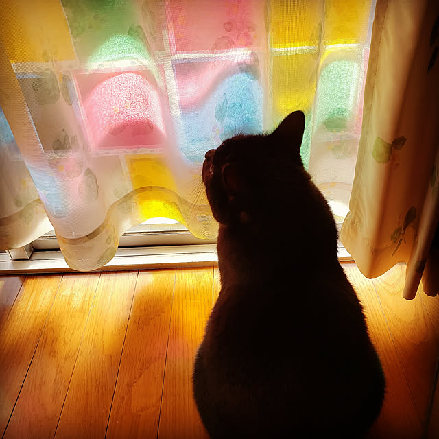 usaginomiyaさんの実例写真