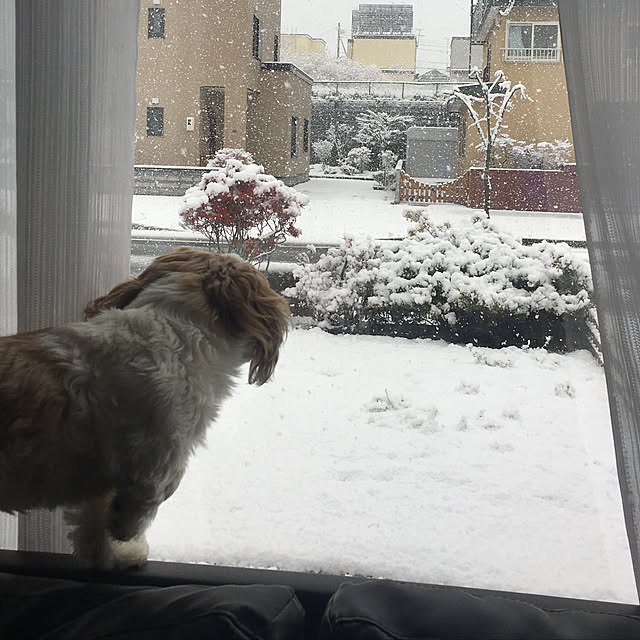 my_homeさんの実例写真