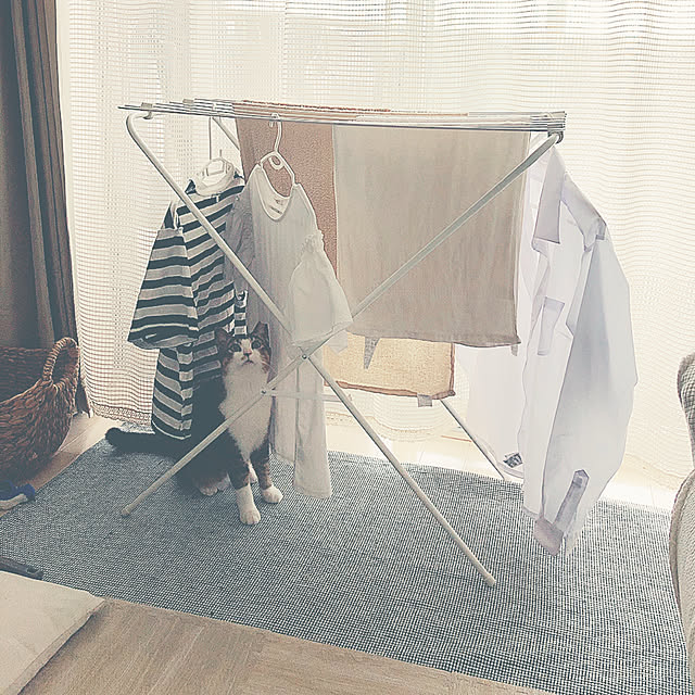 nekomiさんの実例写真