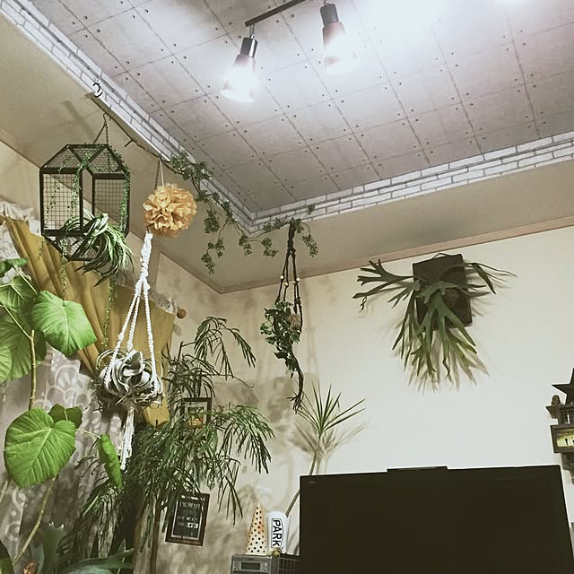franさんの実例写真