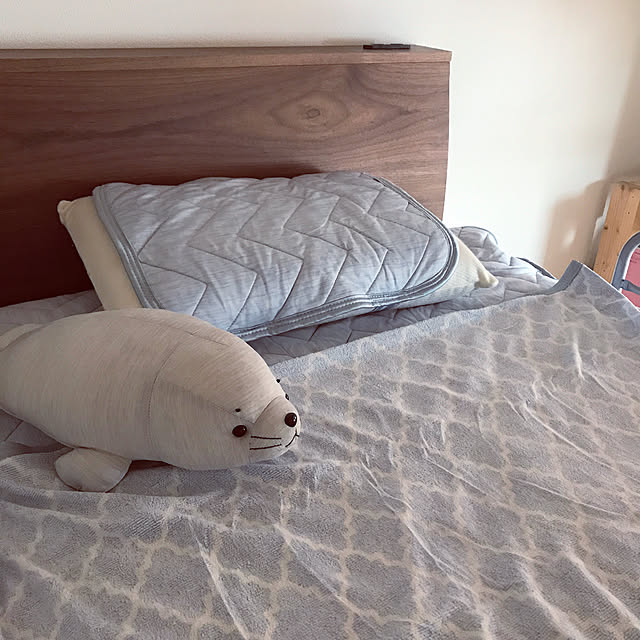 misaeeeさんの実例写真