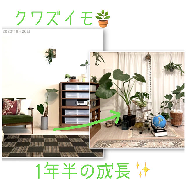 haraさんの実例写真