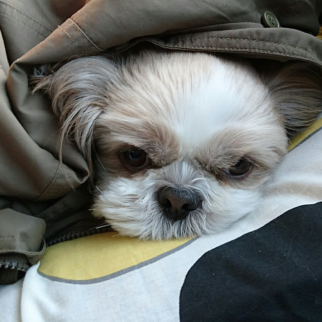 ronさんの実例写真
