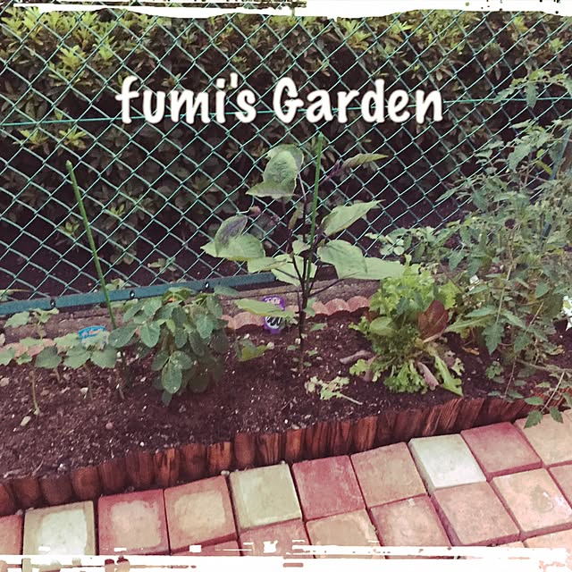 fumroniさんの実例写真