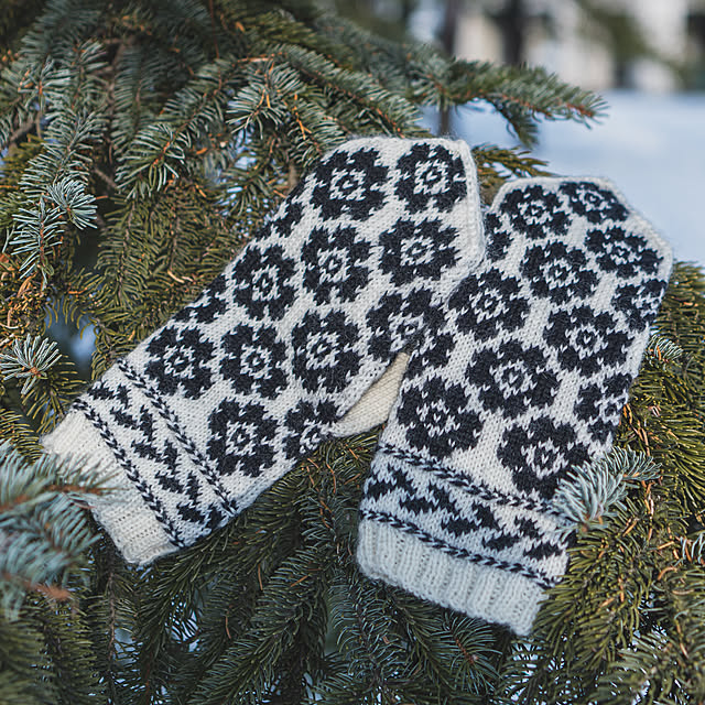 oliveさんの実例写真