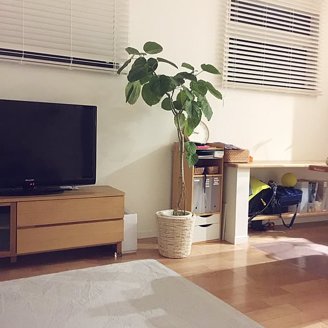 puchisyuhuさんの実例写真