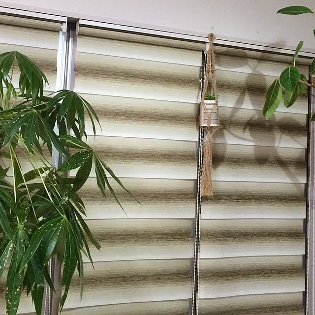 mikan0607さんの実例写真