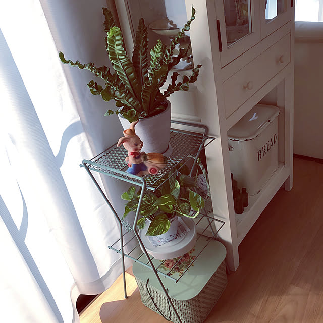 sanaさんの実例写真