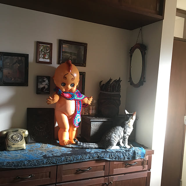 shigimiさんの実例写真