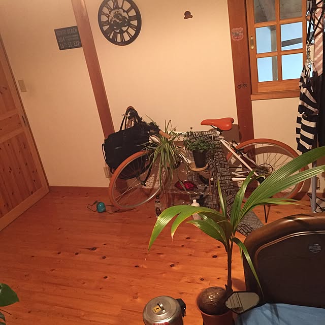 部屋全体/観葉植物のインテリア実例 - 2016-11-15 12:29:51