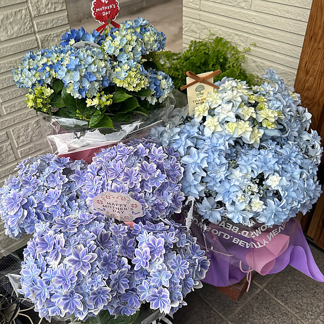 skhrさんの部屋