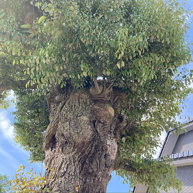 keiさんの実例写真