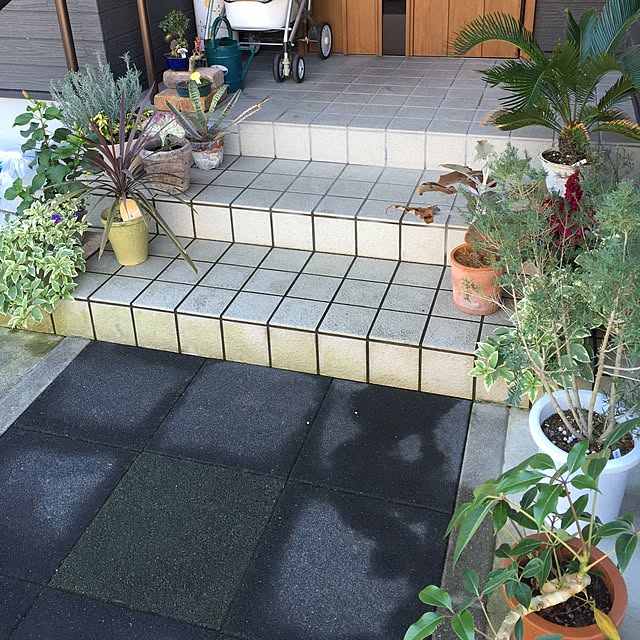 tsuyopipさんの実例写真