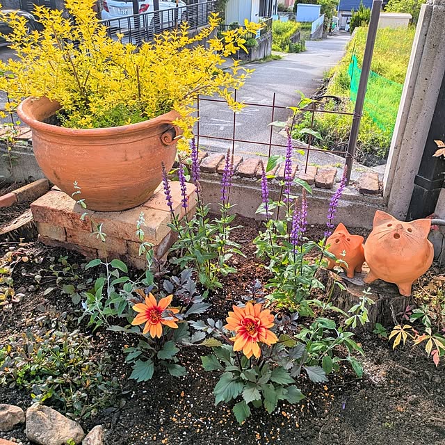 kikufujiさんの部屋