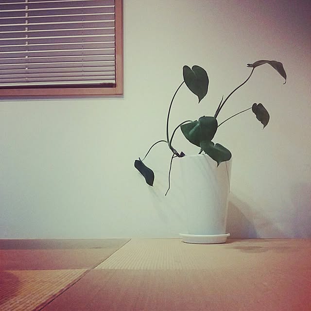 hidetoさんの実例写真