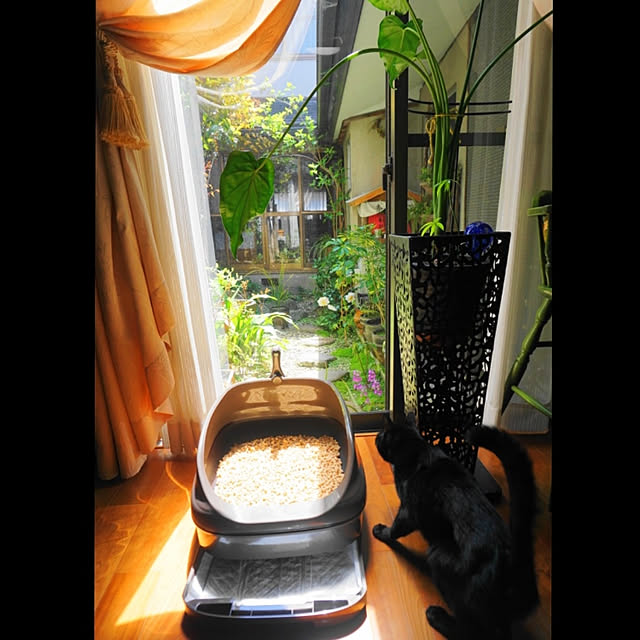 aromameさんの実例写真
