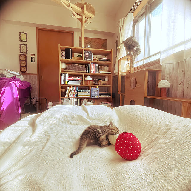 Mさんの部屋