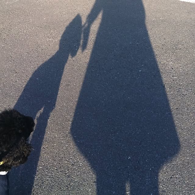 keitanさんの実例写真