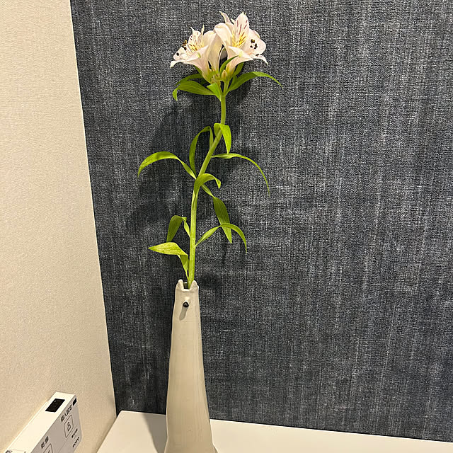 kunkun3さんの実例写真