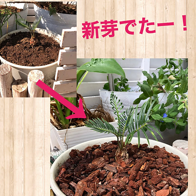 yuさんの実例写真