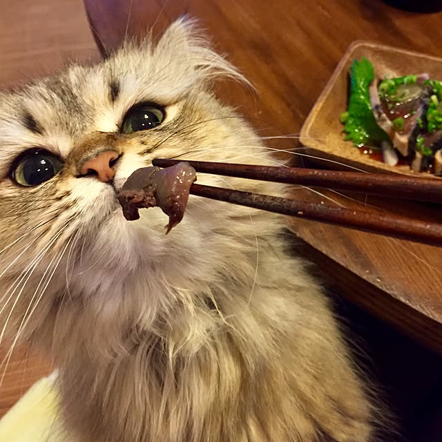 butachanさんの実例写真